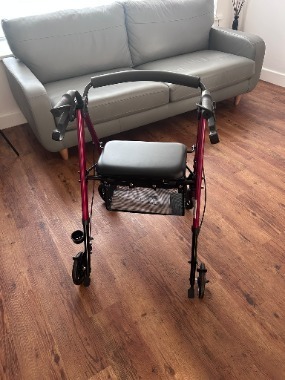 CareCo Aluminium Glider 2.0 rollator walker.