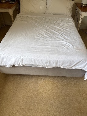 Mobility bed