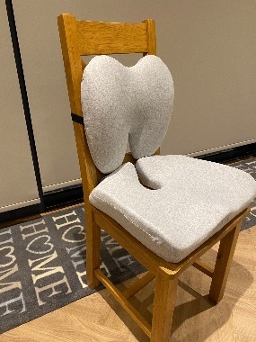 Back and seat cushion set