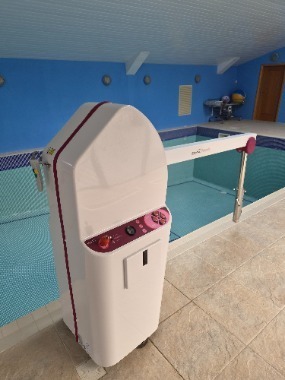 Swimming pool host with bed